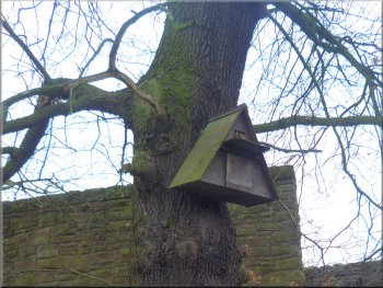 An owl nesting box in the castle grounds